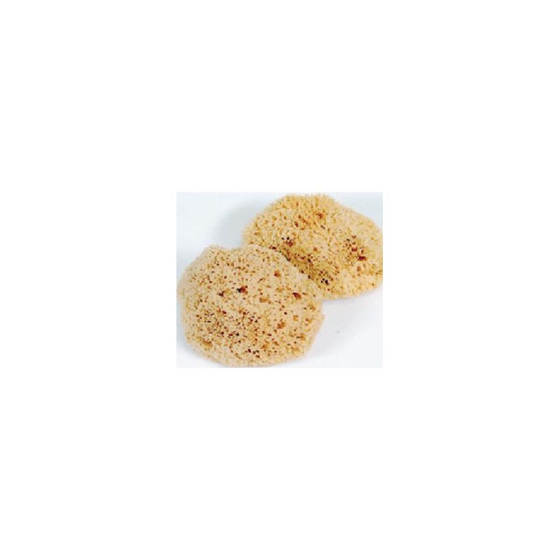 ProTool Sponge Mediterranean X-Large
