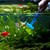 Scraper 03in Angle Aquarium Long Handle Image 88