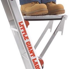 Ladder Work Platform Little Giant