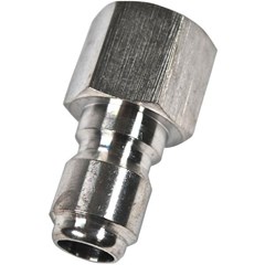 Plug 3/8in SS FPT
