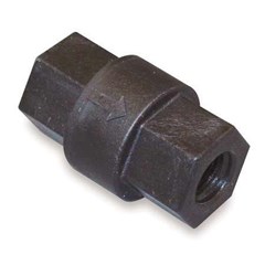 ProTool Check Valve 1/4in FPT