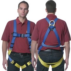 Harness Lightweight Gemtor