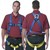 Harness Lightweight Gemtor
