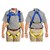 Roof work Fall Protection Kit Image 4