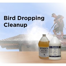 Bird Dropping Cleanup