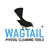 Wagtail