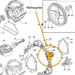Comet P36 Hose Adapter P36 OUTLET COUPLING