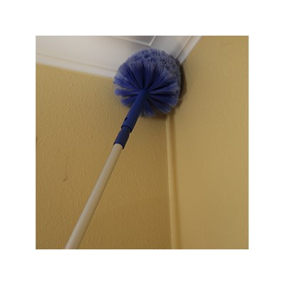 Brush Cobweb Ettore Image 6