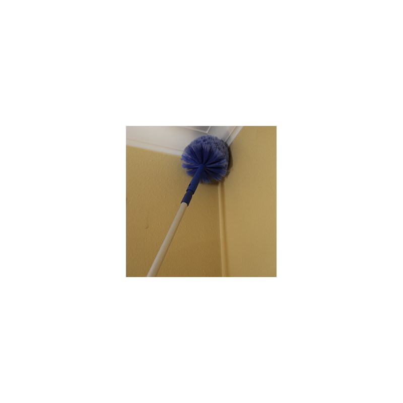 Brush Cobweb Ettore Image 6