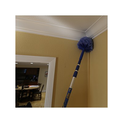 Brush Cobweb Ettore Image 1