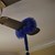 Brush Ceiling Fan Ettore Image 1