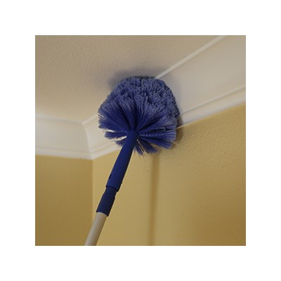 Brush Cobweb Ettore Image 3