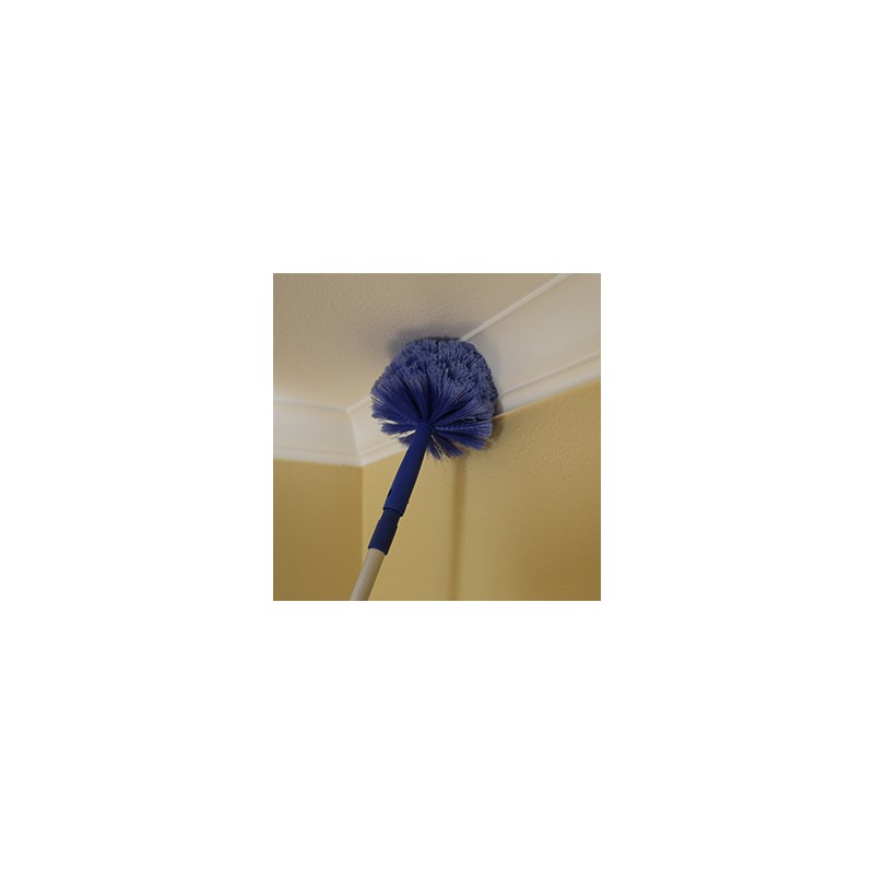 Brush Cobweb Ettore Image 3