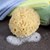 Florida Natural Sea Sponge Image 4