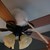 Lambswool Duster w 28in handle Ettore Image 1