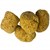 Florida Natural Sea Sponge Image 6