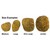Florida Natural Sea Sponge Image 5