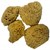 Florida Natural Sea Sponge Image 7