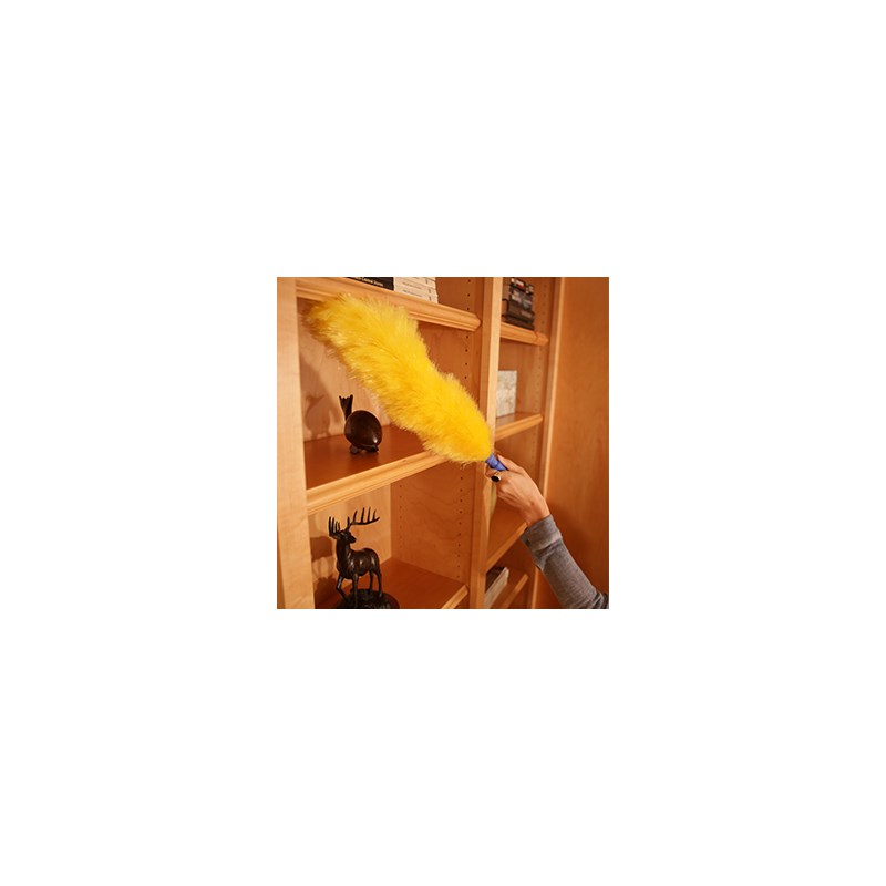 Duster Static Ettore Image 5