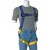 Harness Lightweight Gemtor Image 1