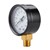 ProTool Pressure Gauge 100psi Max 1/4in Image 3