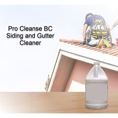 Cleanse All, House, Siding 