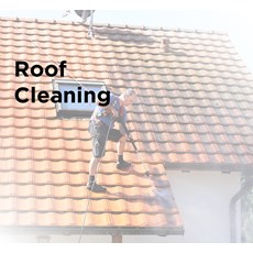 Roof Cleaning